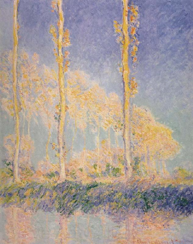 Claude Monet Three Poplars,Autumn Effect Spain oil painting art